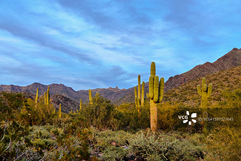 麦克道尔山图片素材