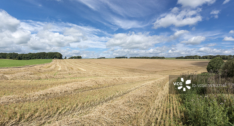 英格兰乡村夏末的耕地图片素材