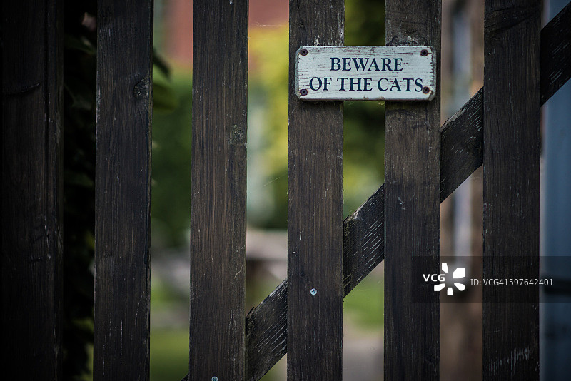 当心猫咪标志图片素材