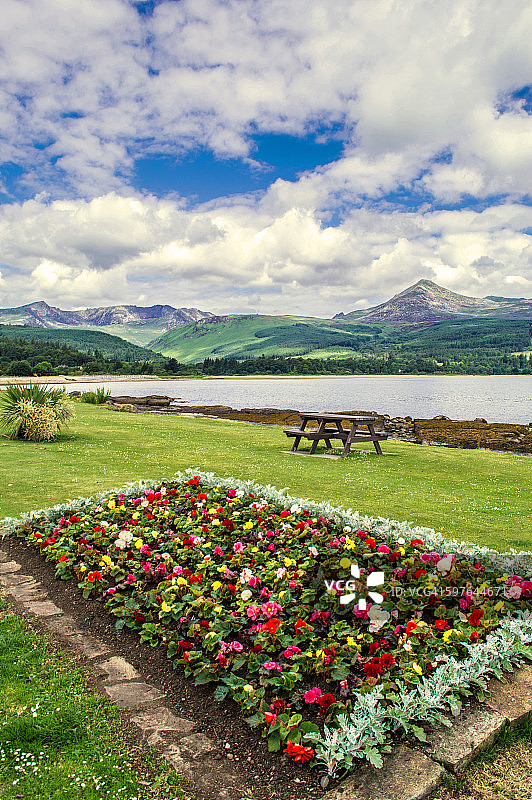 布罗迪克海滨的鲜花图片素材