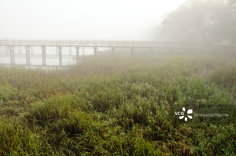雾中的海草和码头图片素材