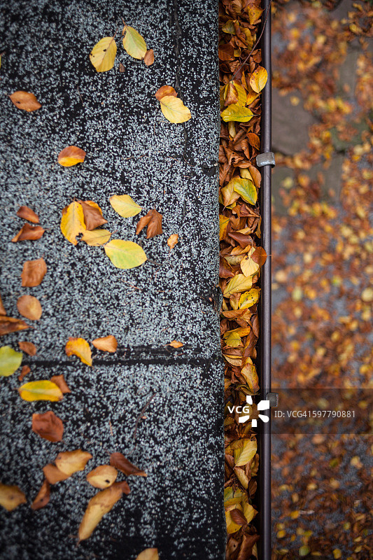排水沟、屋顶和树叶，秋季图片素材