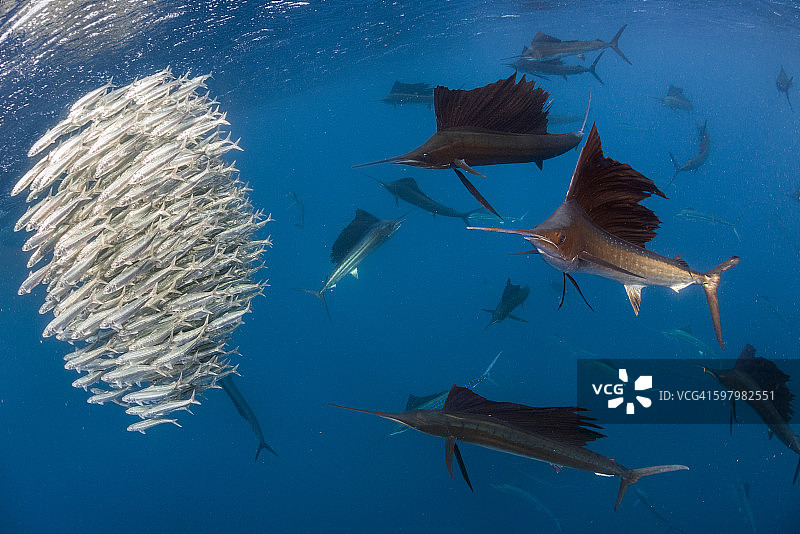 午餐时间图片素材