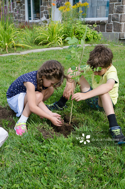 男孩和女孩在前院种树图片素材