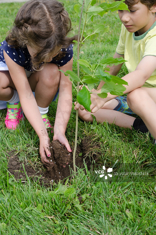 男孩和女孩在前院种树图片素材
