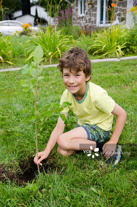 男孩在院子里种树图片素材