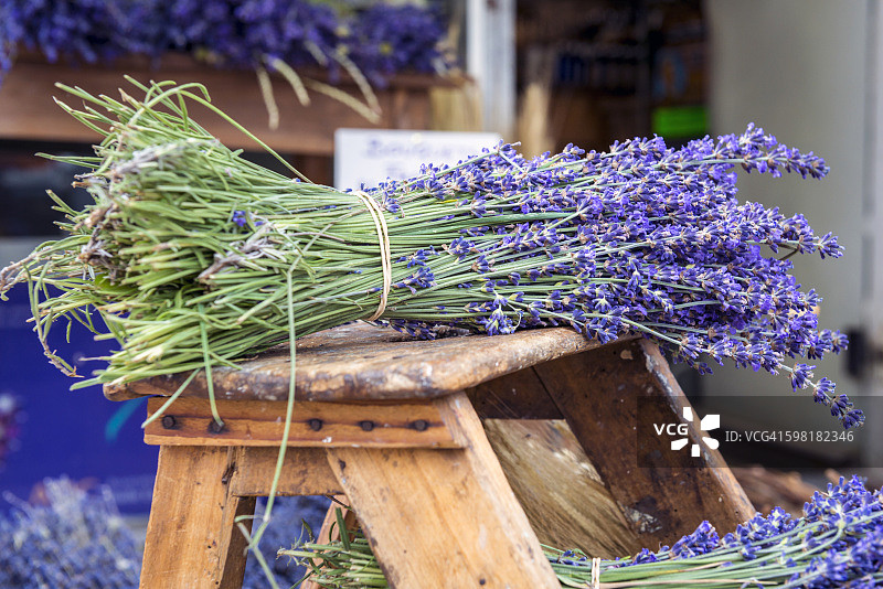 薰衣草花图片素材