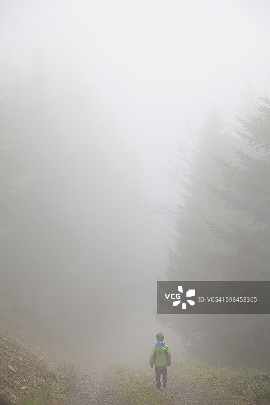 独自一人在雾中的冷杉森林里的男孩图片素材