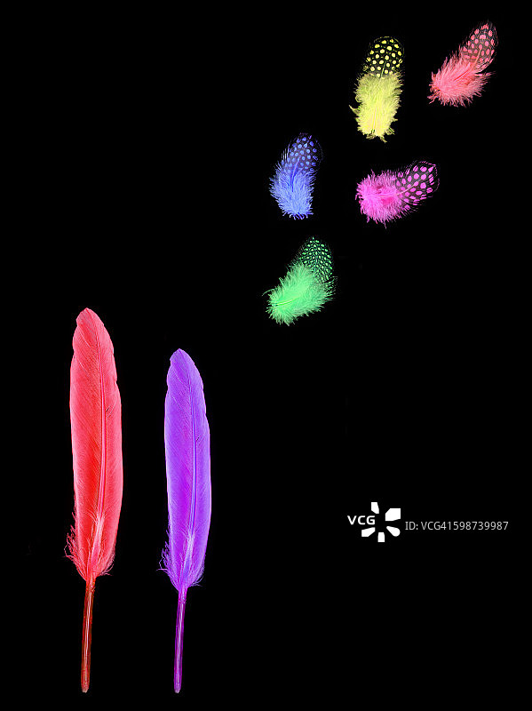 夫妇和后代插画图片素材