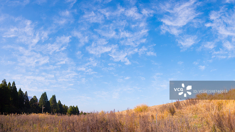 日本草地图片素材