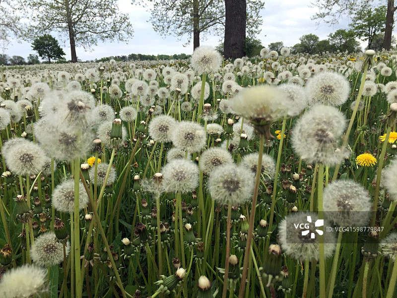 感觉颜色图片素材