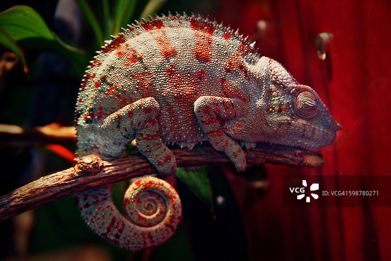 感觉颜色图片素材