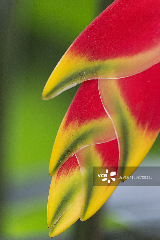 感觉颜色图片素材