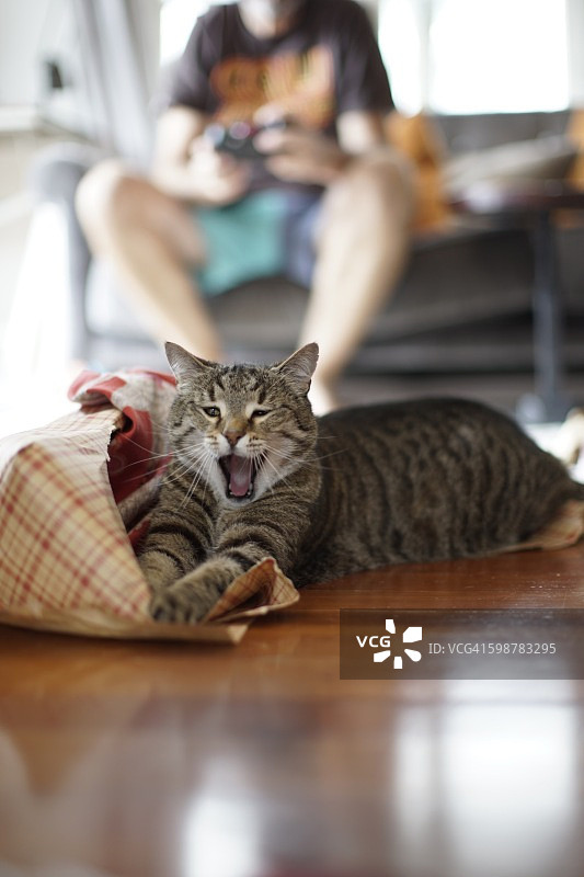 圣诞和新年图片素材