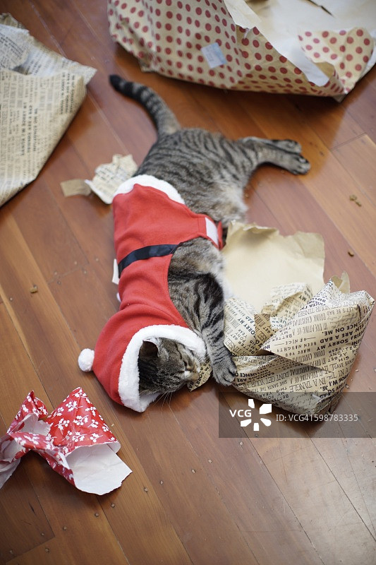 圣诞和新年图片素材