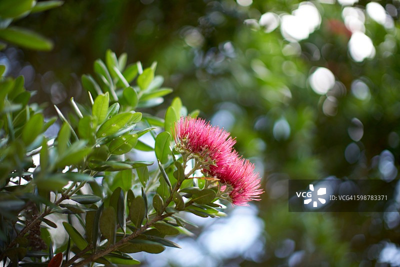 感觉颜色图片素材