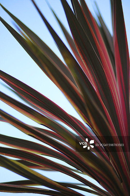 感觉颜色图片素材