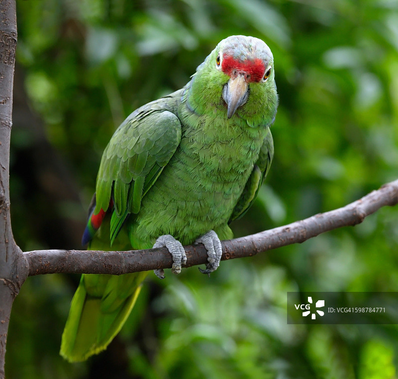 感觉颜色图片素材