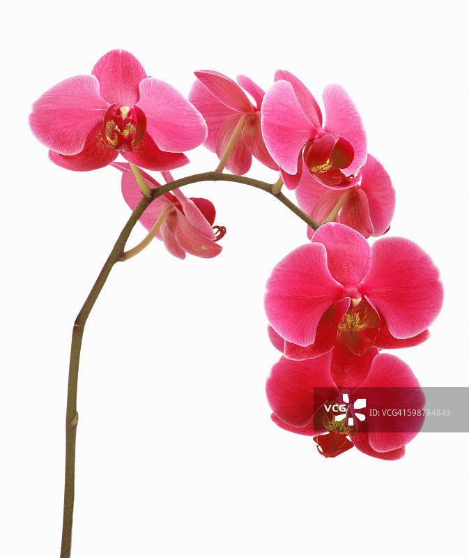 感觉颜色图片素材