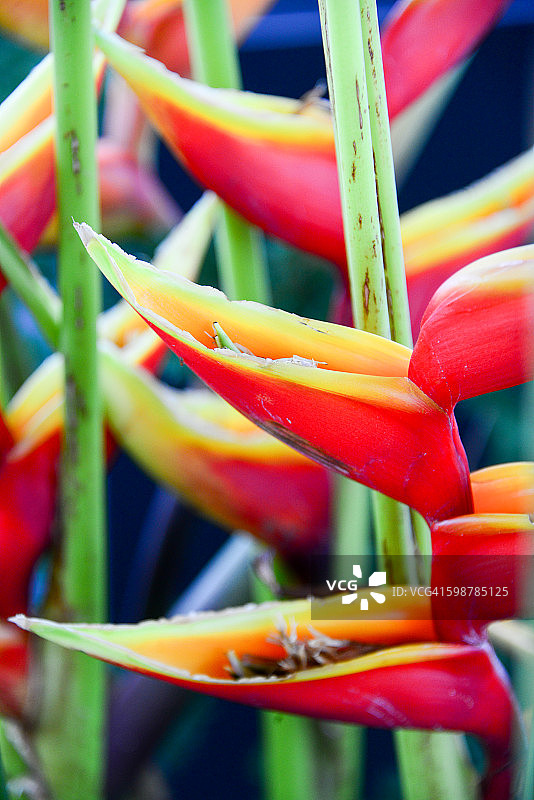 感觉颜色图片素材