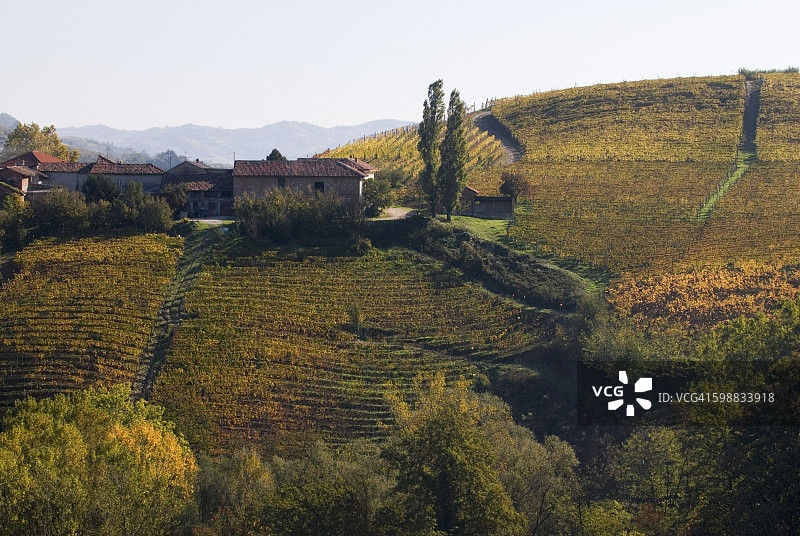 意大利皮埃蒙特莫兰迪纳酒庄图片素材