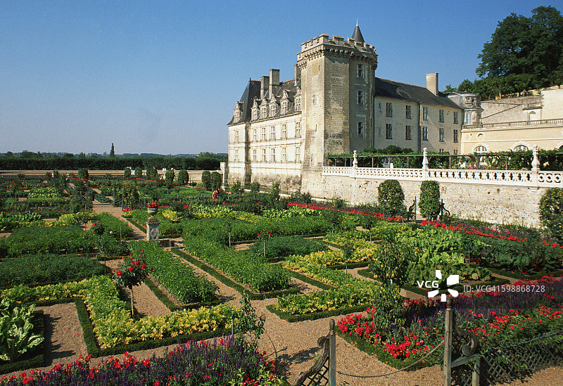 法国维朗德里蔬菜花坛花园图片素材