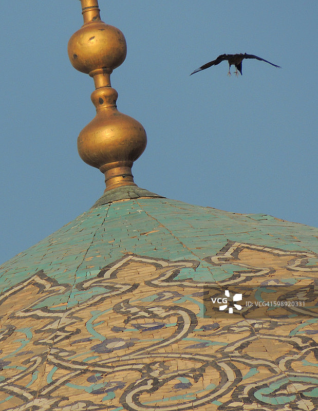飞越伊斯法罕清真寺圆顶的乌鸦图片素材