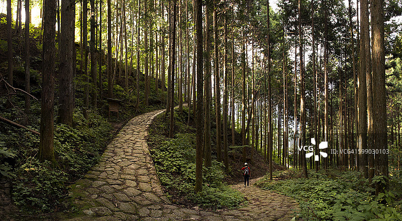马笼宿和妻笼宿之间的中山道图片素材
