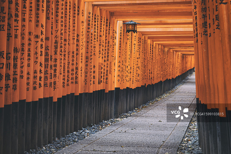 日本京都伏见稻荷大社鸟居图片素材