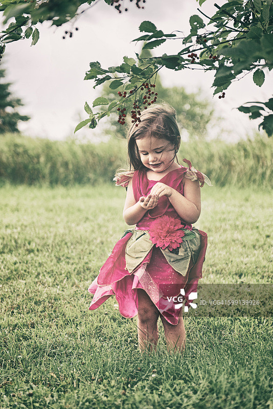 采摘野樱桃的小女孩图片素材
