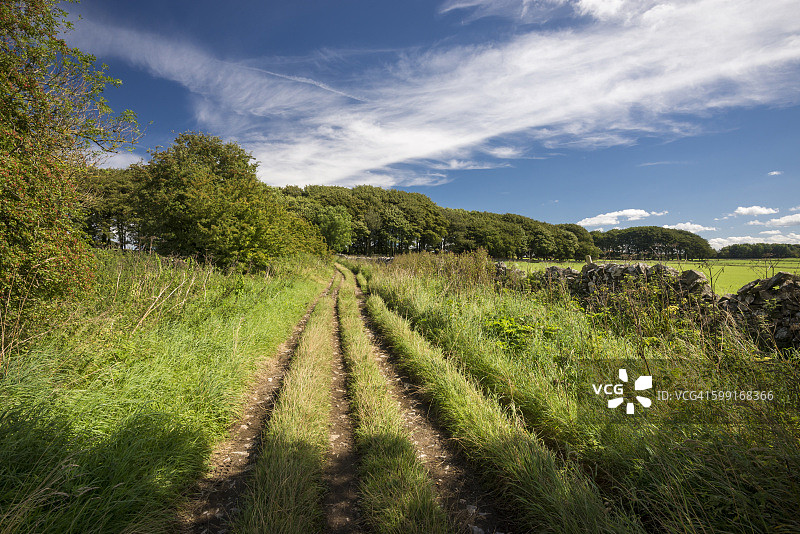 遍布车辙的乡村土路图片素材
