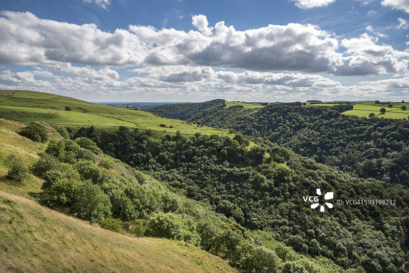 多夫代尔的茂密山坡（峰区国家公园）图片素材