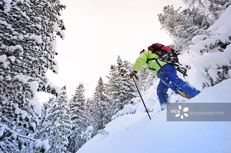 在雪林中穿雪鞋图片素材