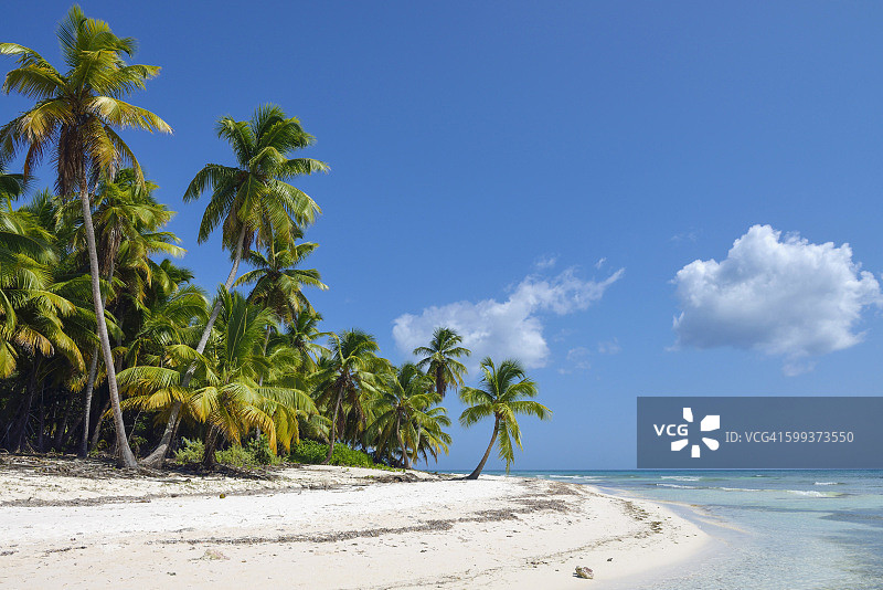 多米尼加共和国萨翁纳岛加勒比海风光图片素材