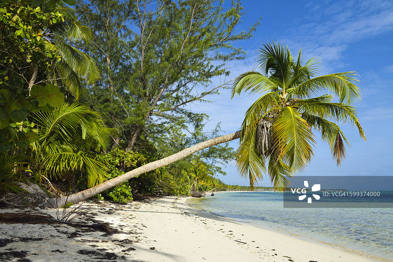 多米尼加共和国加勒比海蓬塔卡纳海滩图片素材