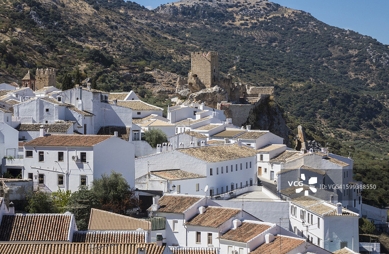 西班牙南部安达卢西亚祖赫罗斯山坡上的橄榄树图片素材