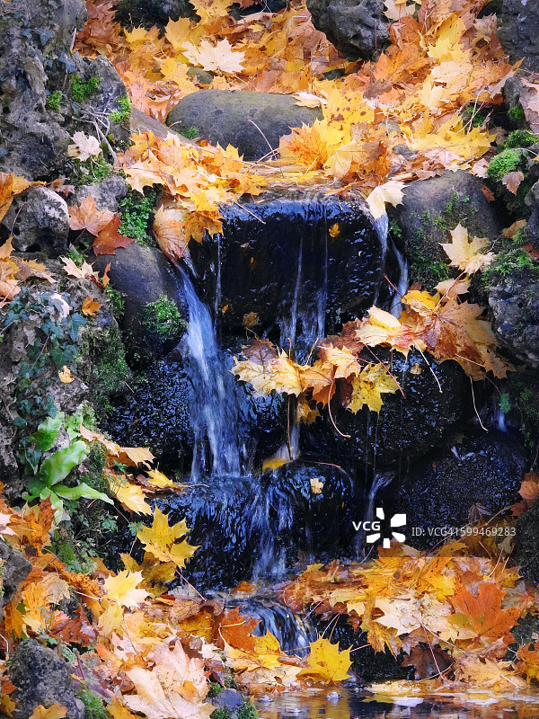 秋天的流图片素材