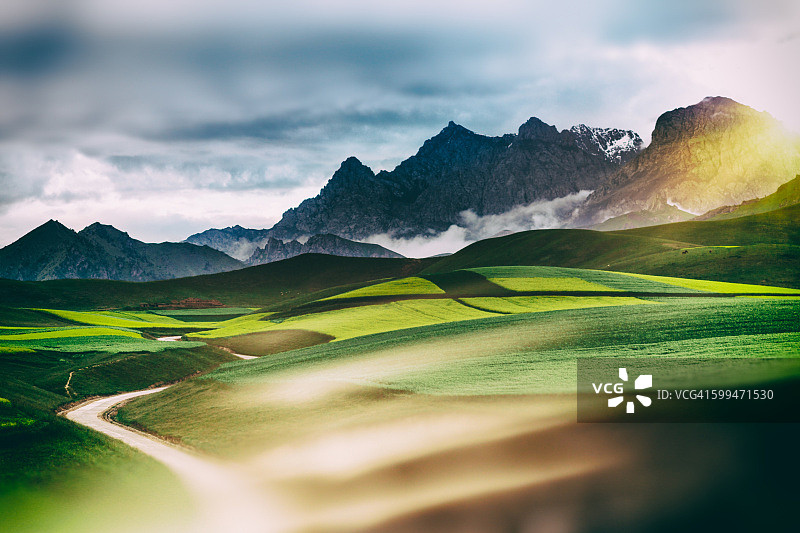 蓝天下的绿草图片素材