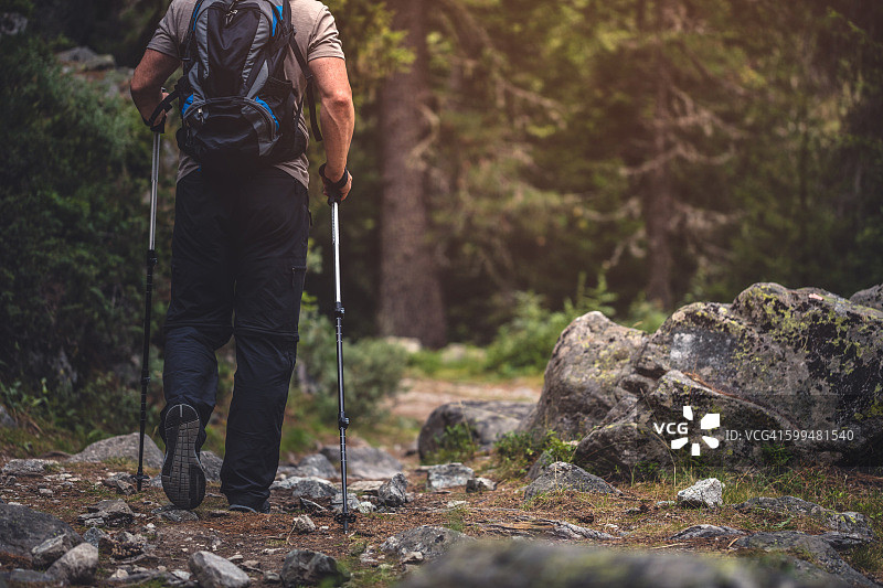 背着背包的旅行者在森林中行走图片素材