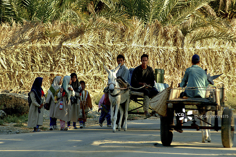 埃及锡瓦绿洲沙利古城图片素材