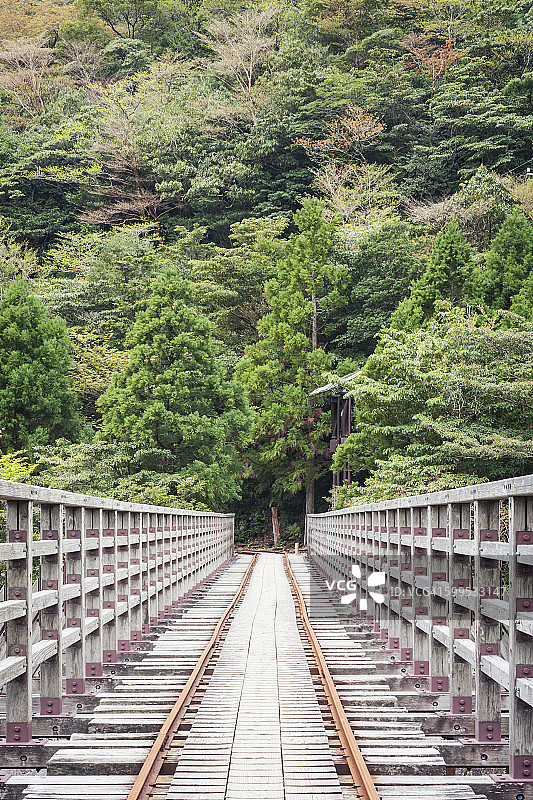 日本屋久岛绳文杉小径上的铁路桥图片素材