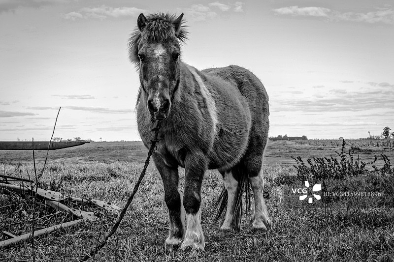 场景中央的马特写图片素材