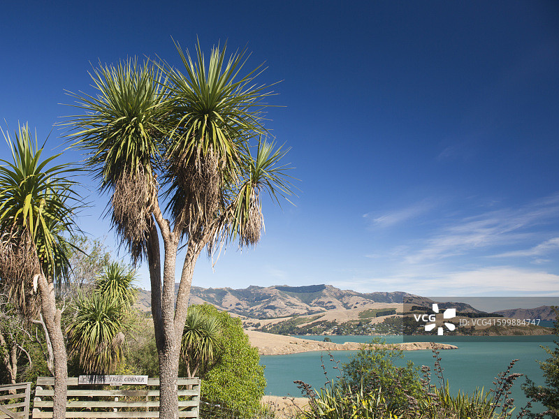 阿卡罗阿港和班克斯半岛，阿卡罗阿图片素材