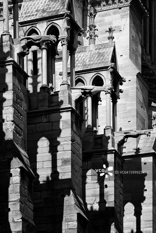 法国巴黎圣母院的滴水嘴兽图片素材