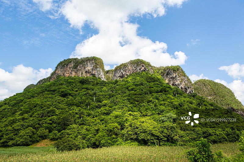 古巴比尼亚莱斯山谷图片素材