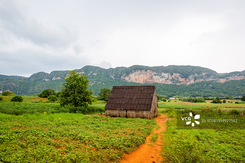 古巴比尼亚莱斯山谷图片素材