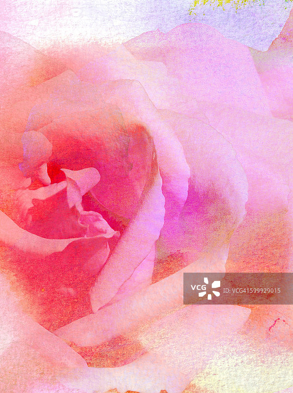 抽象手绘水彩玫瑰+混合媒体图片素材