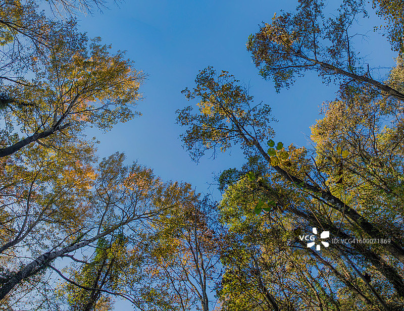 秋天的风景图片素材