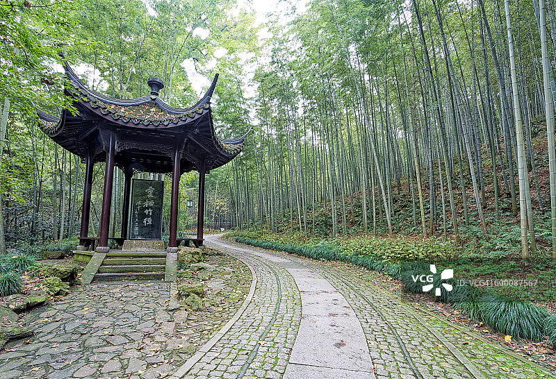 杭州云栖竹径图片素材