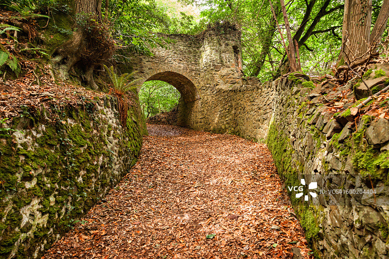 英国萨默塞特埃克斯穆尔国家公园小路图片素材